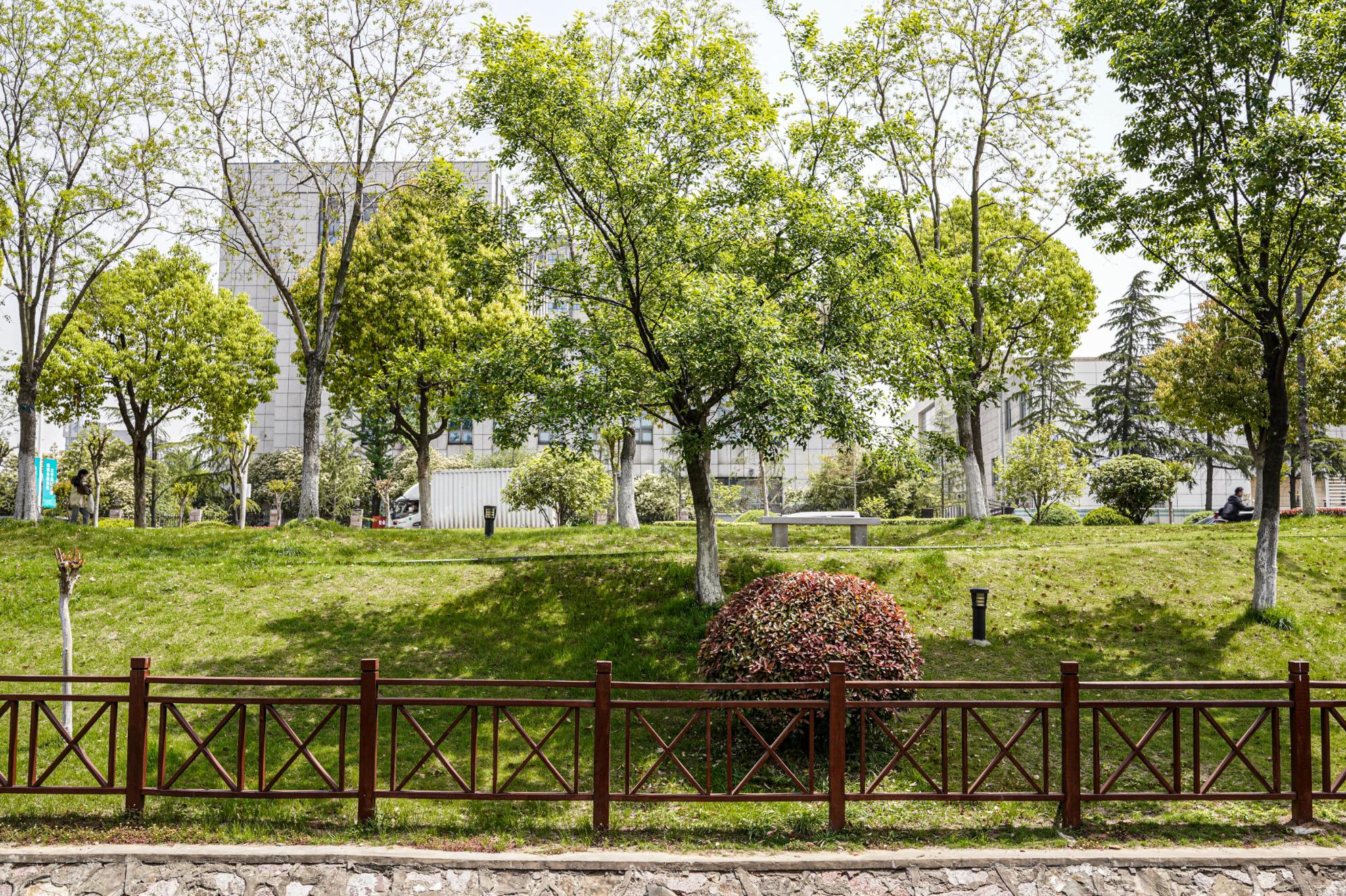 二手相机拍摄视频推荐,二手相机拍视频选哪个好