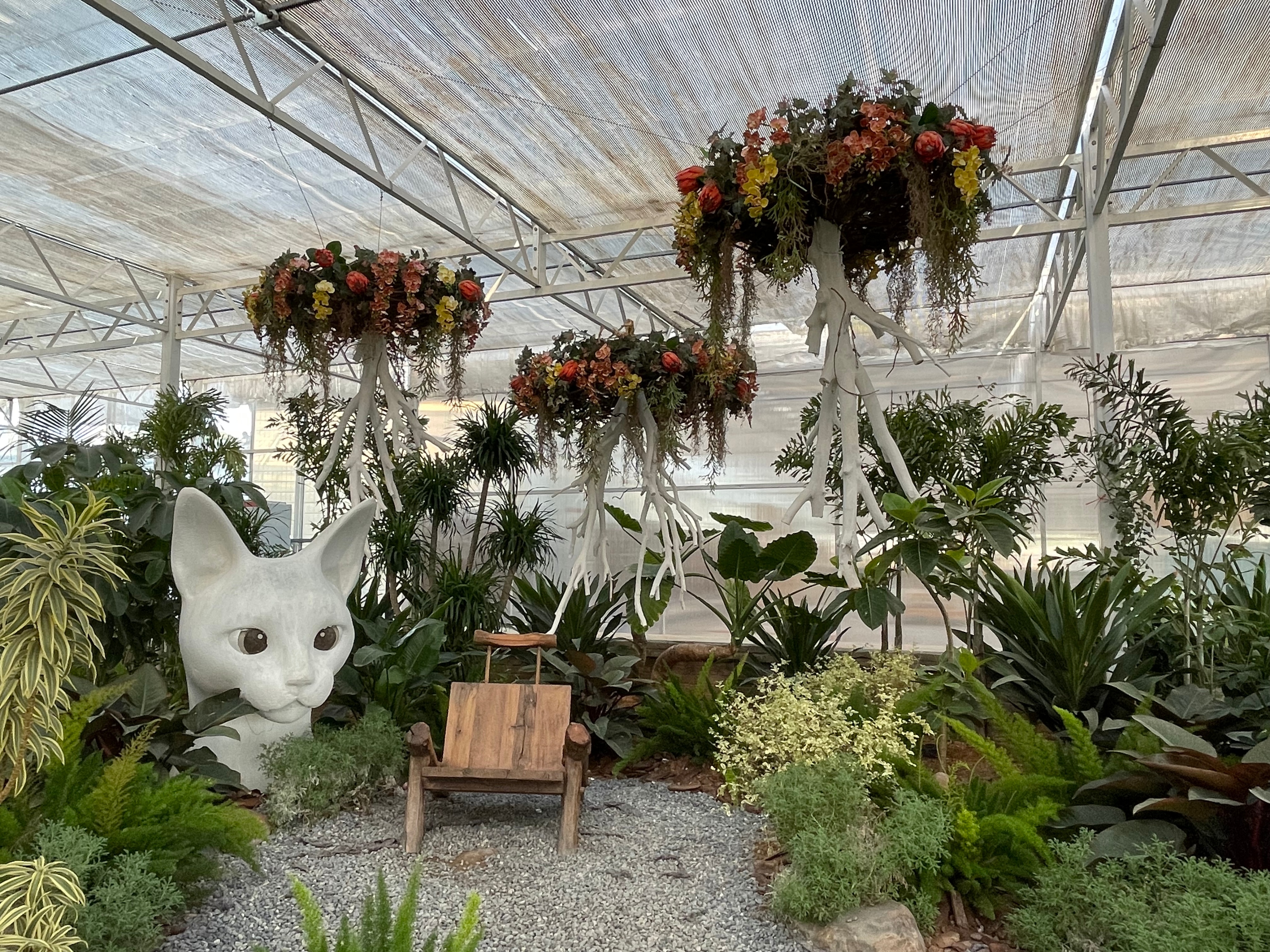 赏花、购花、娱乐，市民自家的小菜园，玉合赢花园中心挺棒