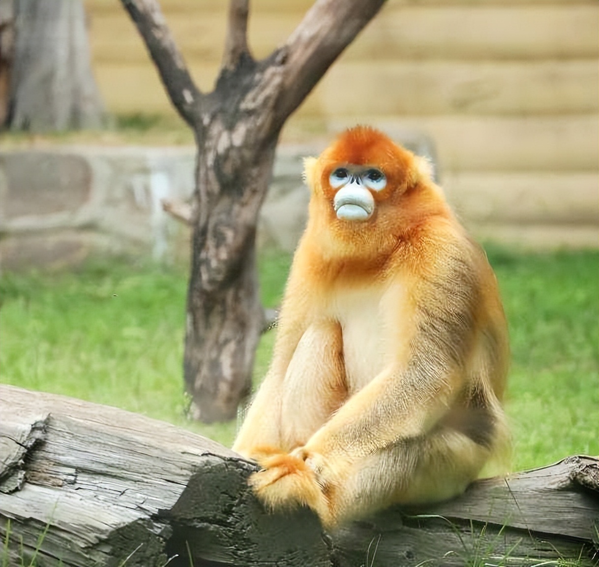 西安旅游攻略详细学生,学生西安旅游攻略最新