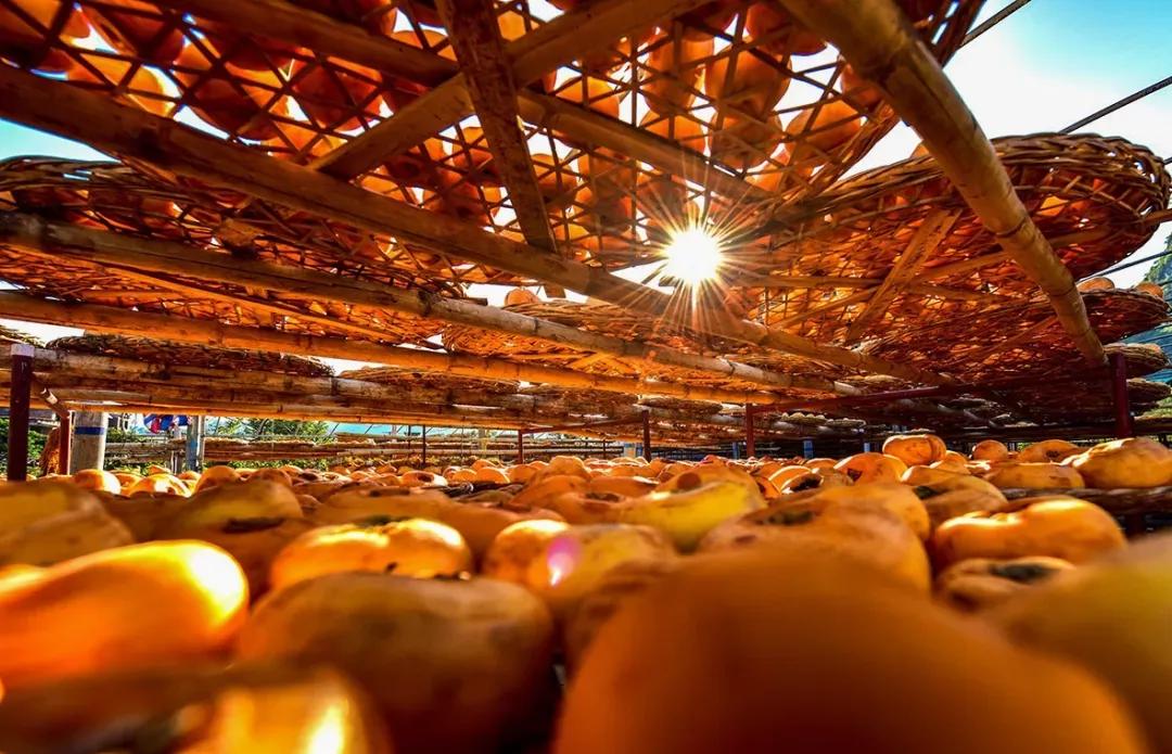 “中国声音”华春莹在推特向世界力荐的华南平乐究竟有怎样的美？