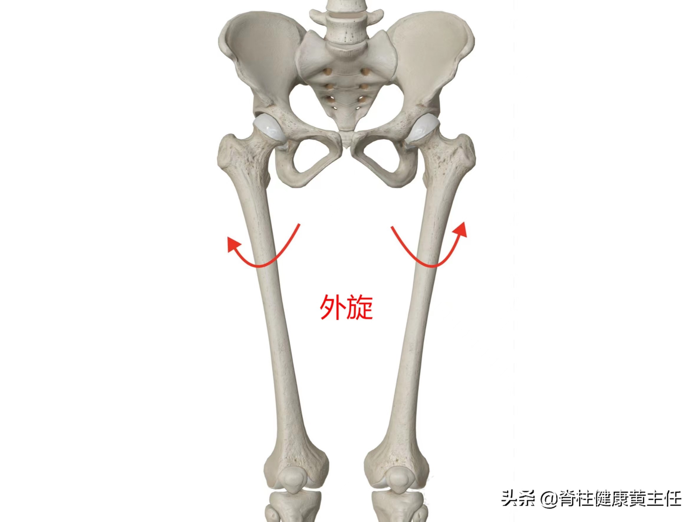 怎么走路改善xo型腿,什么走路姿势可以纠正o型腿