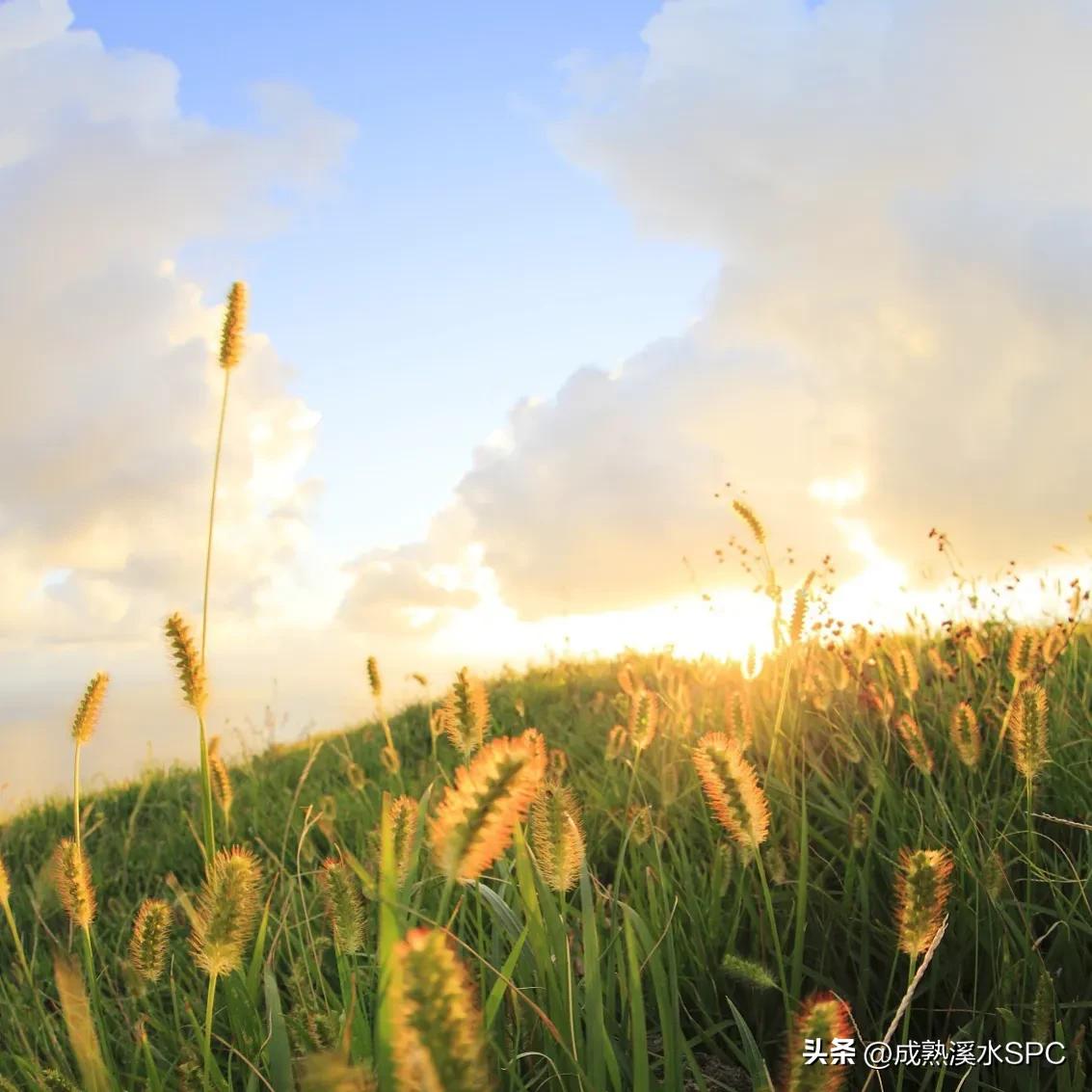 当你想一件事情总是想不通的时候,如果你想不通一件事怎么办