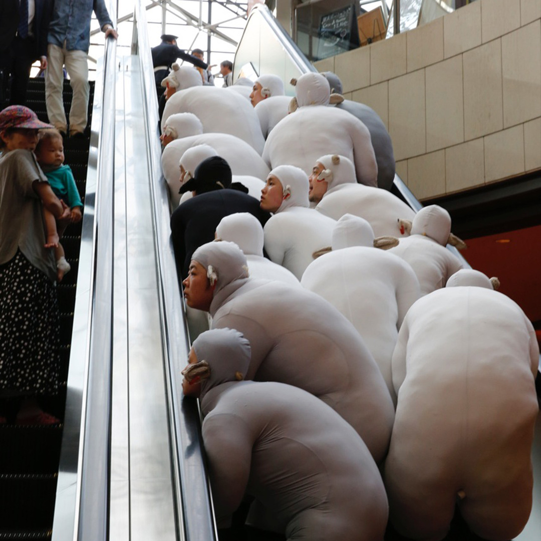 加拿大舞团harry,加拿大舞团模仿羊