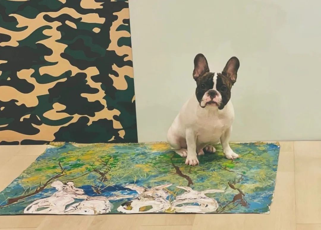 台湾第一帅哥蒋友柏,蒋友柏未健身前照片