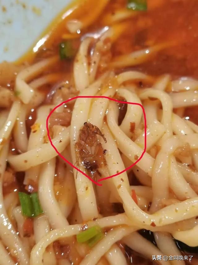 形象碎了一地!“啤酒大王”成都公司的食堂火了