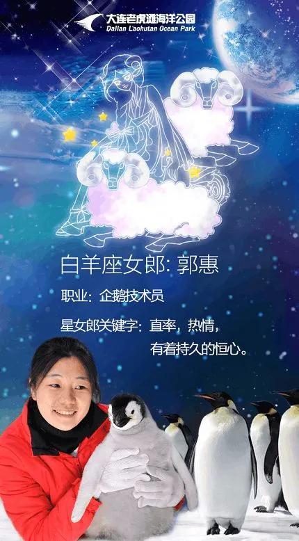 帝企鹅姐姐和她的弟弟妹妹们