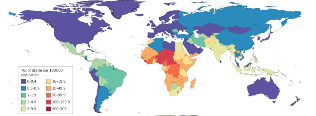 病毒之谜真相揭秘,解密病毒探索生命奥秘