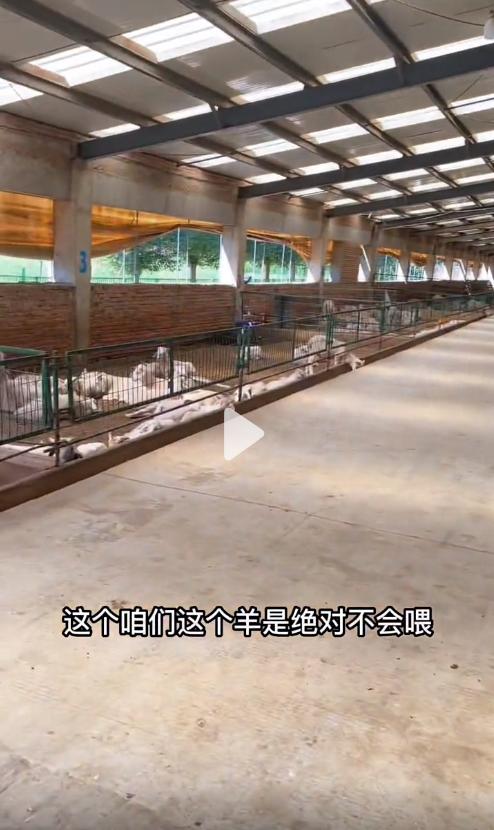 一个破产中年男人的抖音逆袭