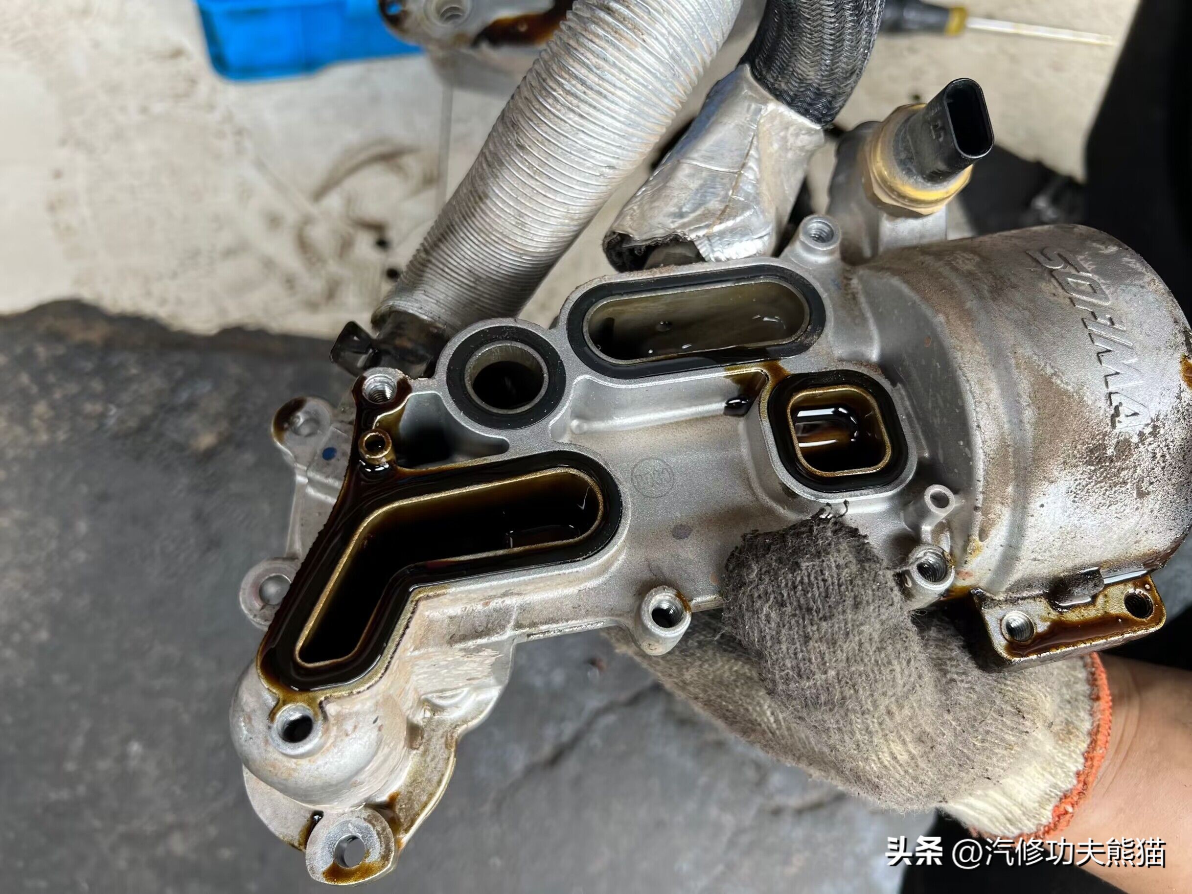 列强法国,标致最耐造的是哪款车