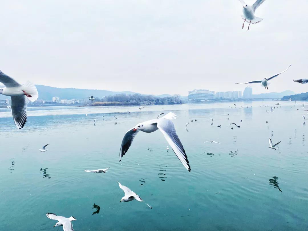 春节最值得一去的4个小众旅行地,春节川内游攻略