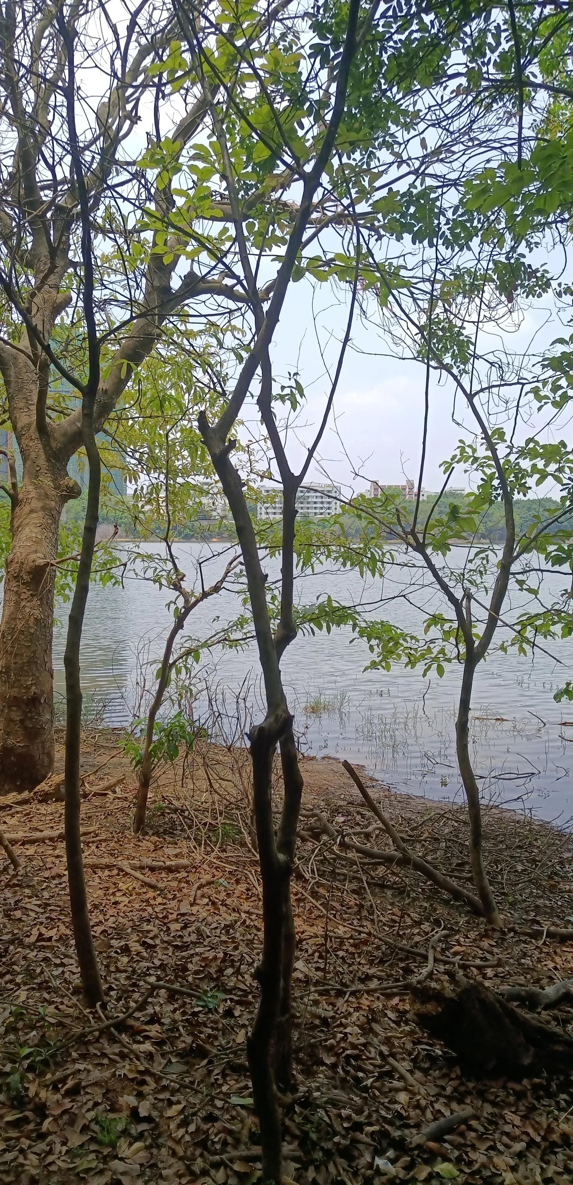 平常心即是道经典语录,平常心即是道南怀瑾