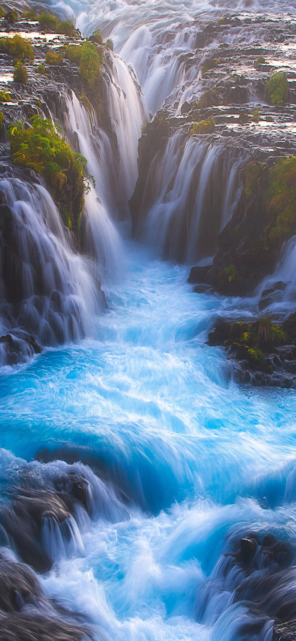 早安竖屏手机壁纸,早安图片最新手机壁纸