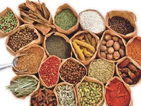 中草药识别,中草药手抄报