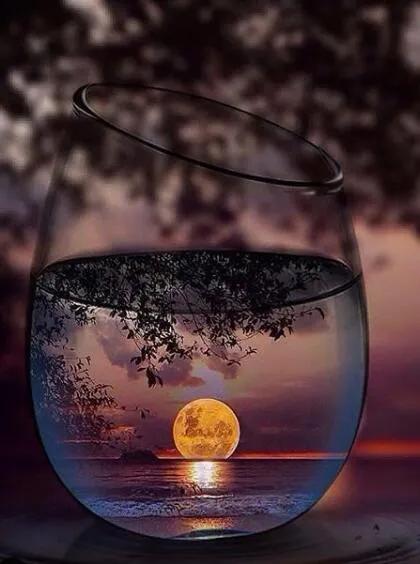 唯美手机壁纸高级感,唯美手机壁纸高清全面屏