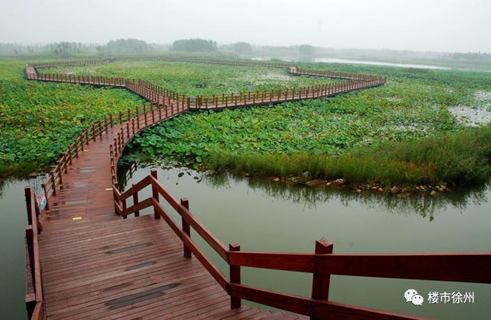 太牛了！45.58亿砸来！6条轨道线路！徐州东区2022全面爆发