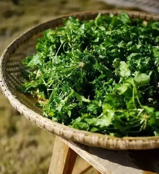 亚运美食食堂,2022亚运会菜肴