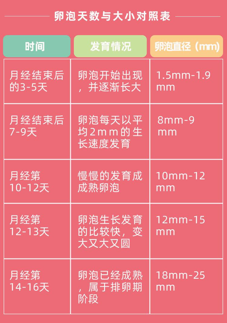 卵泡生长周期一般需要多少天,卵泡生长周期与大小