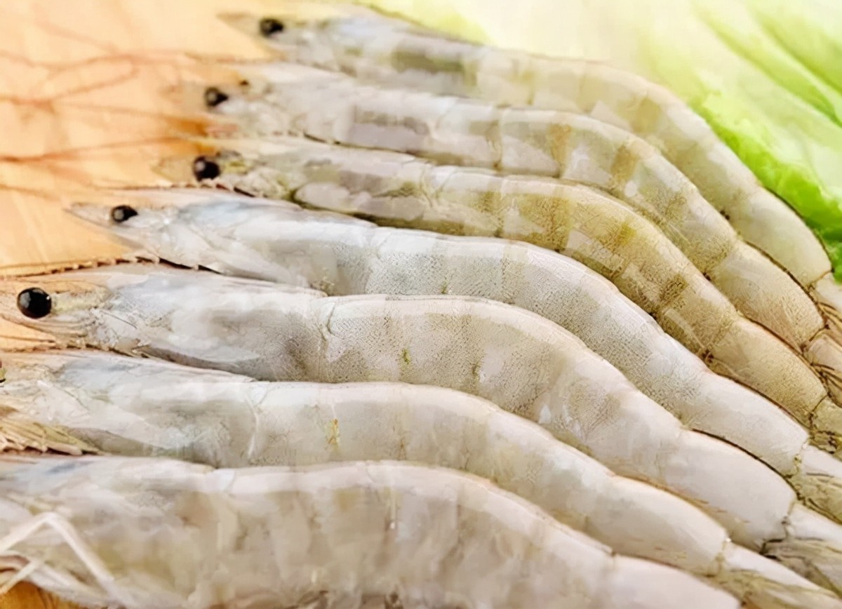 厄瓜多尔卖武器,厄瓜多尔低价购买装备