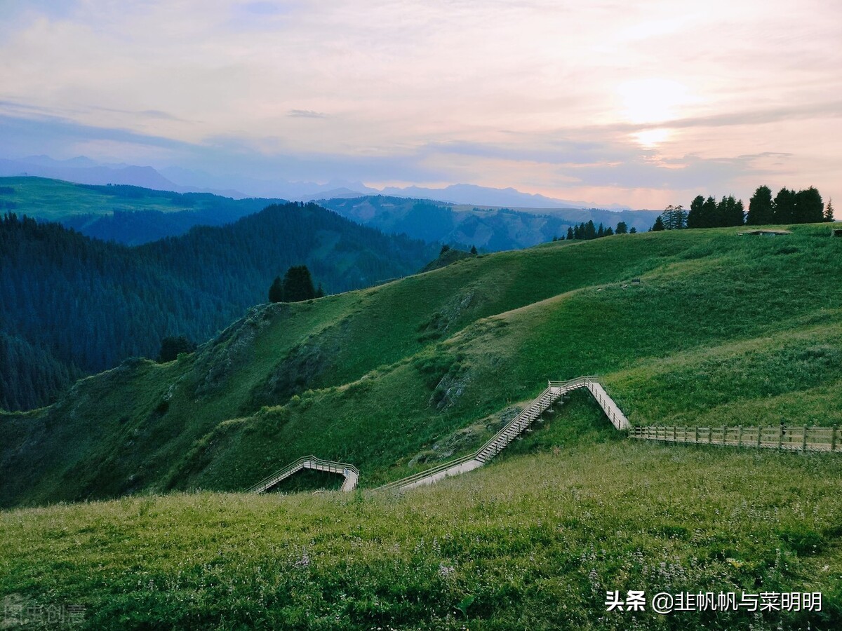 菜明明小白理财课~基金定投和教育金and养老金