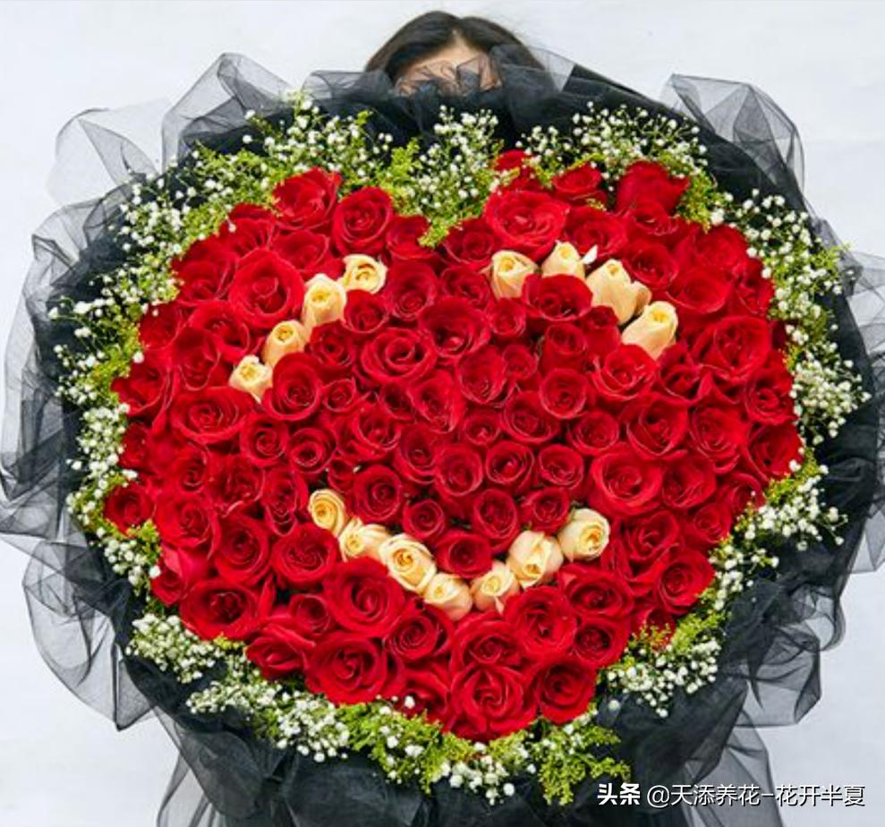 18朵粉色玫瑰花代表什么含义,5朵玫瑰花的寓意和花语是什么