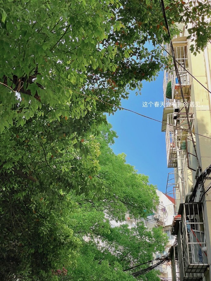 清醒独立的签名,清醒励志的个性签名