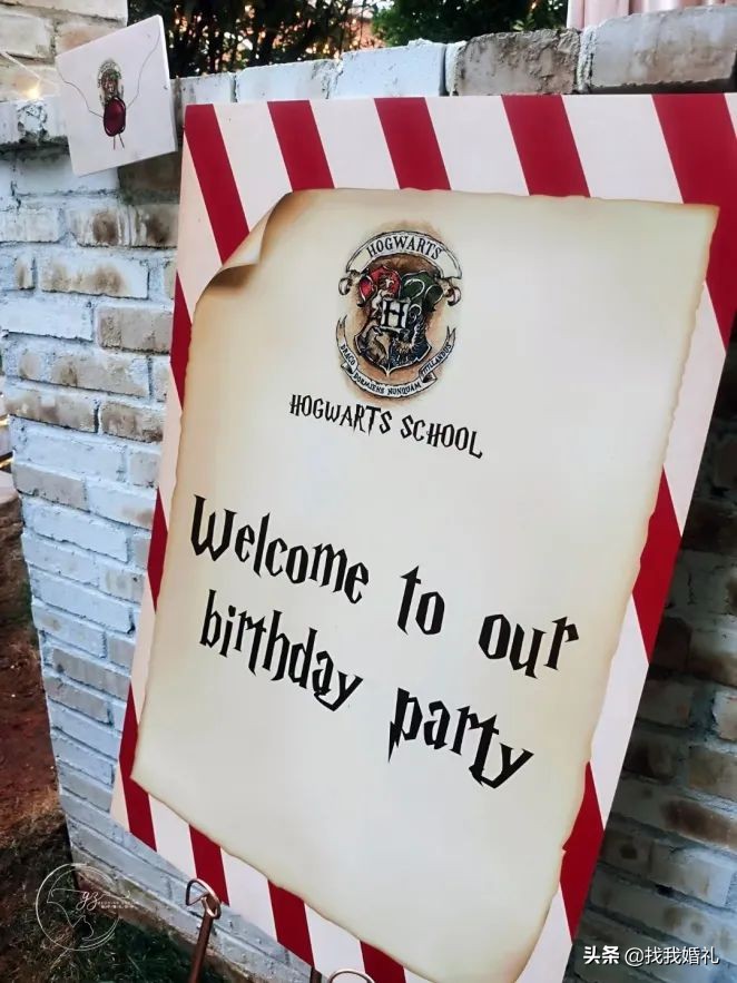 他们在霍格沃茨办了一场婚礼，请来了哈利波特…