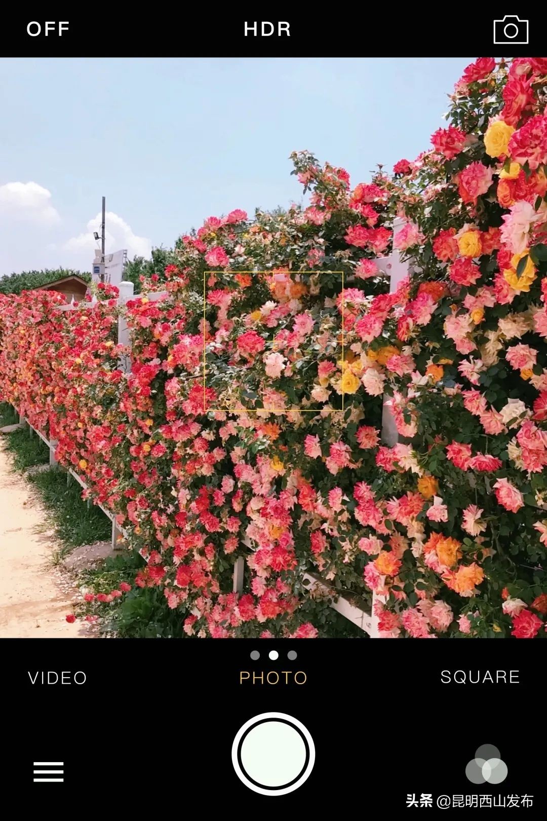 你的手机都藏哪里,你的手机藏着秘密