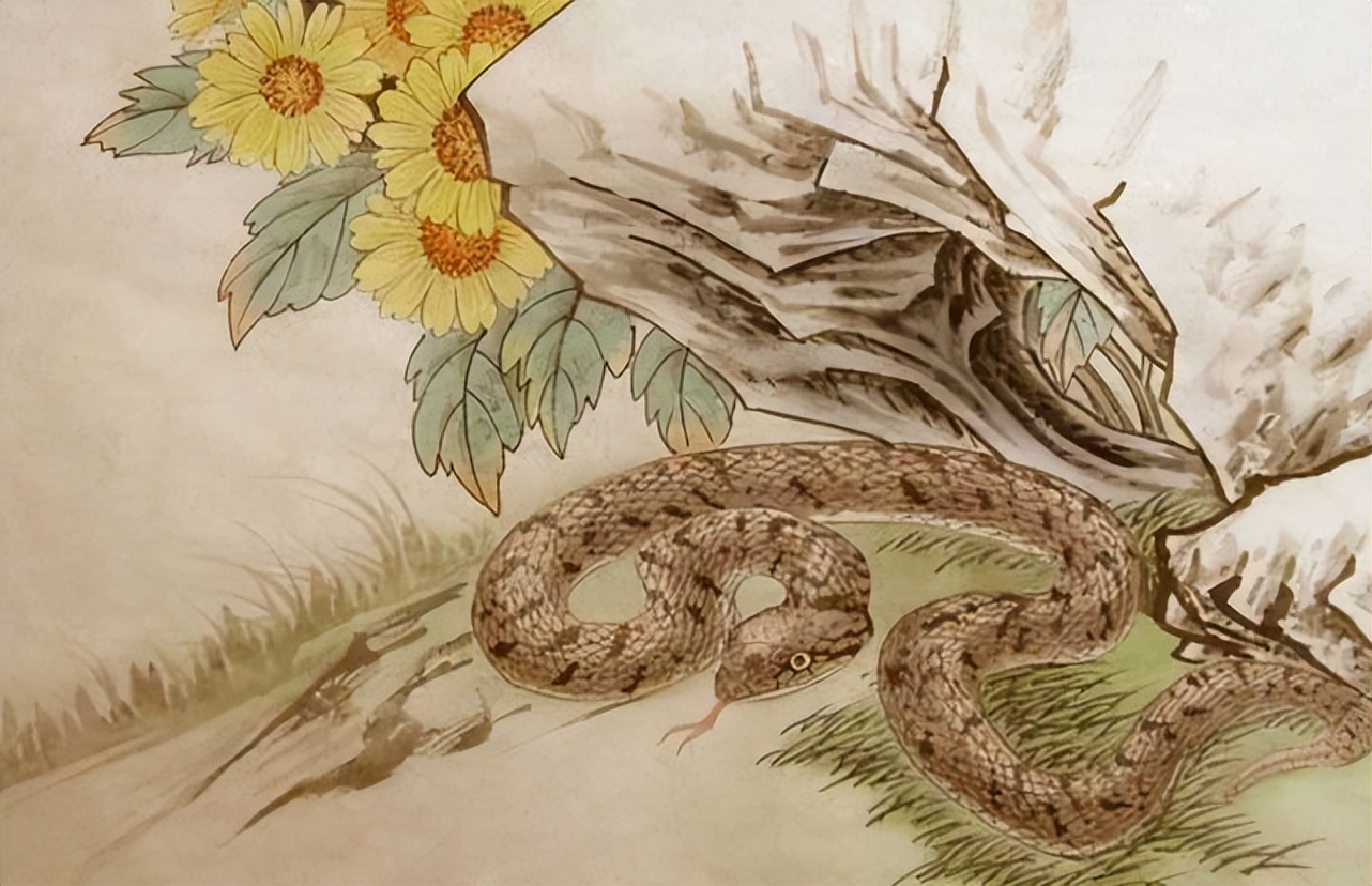 属相蛇猪羊马2022运势,生肖蛇马羊10月运势分析