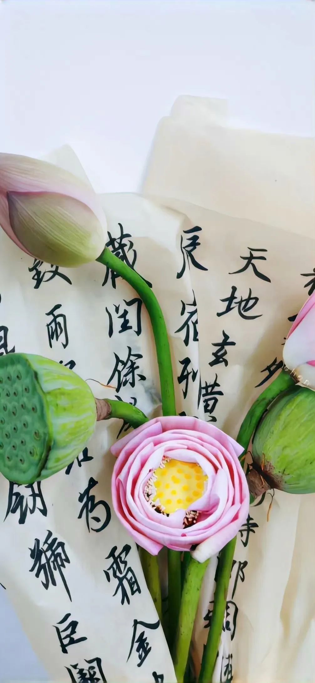 心仪的壁纸,喜欢就买没钱就赚的壁纸