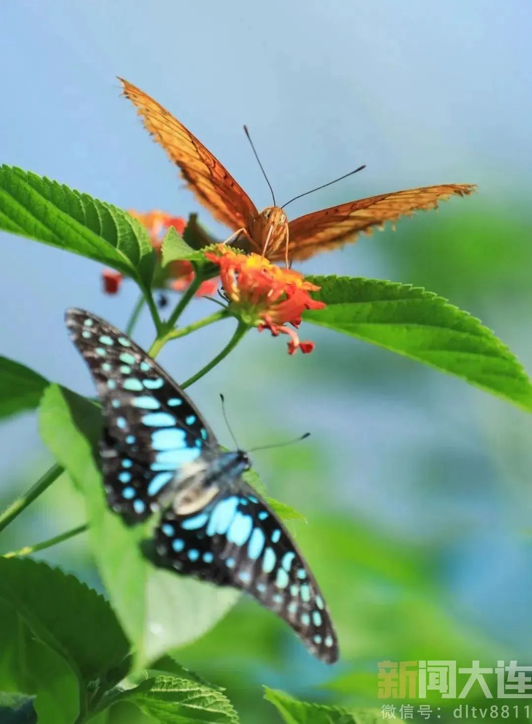 没想到附近也有这么美的风景,美丽的风景近郊旅游的好去处