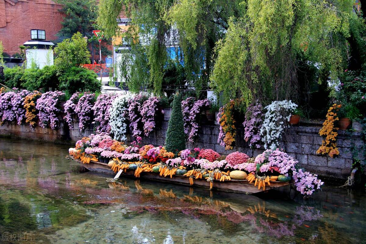 花事旖旎,关于年华最唯美的古诗