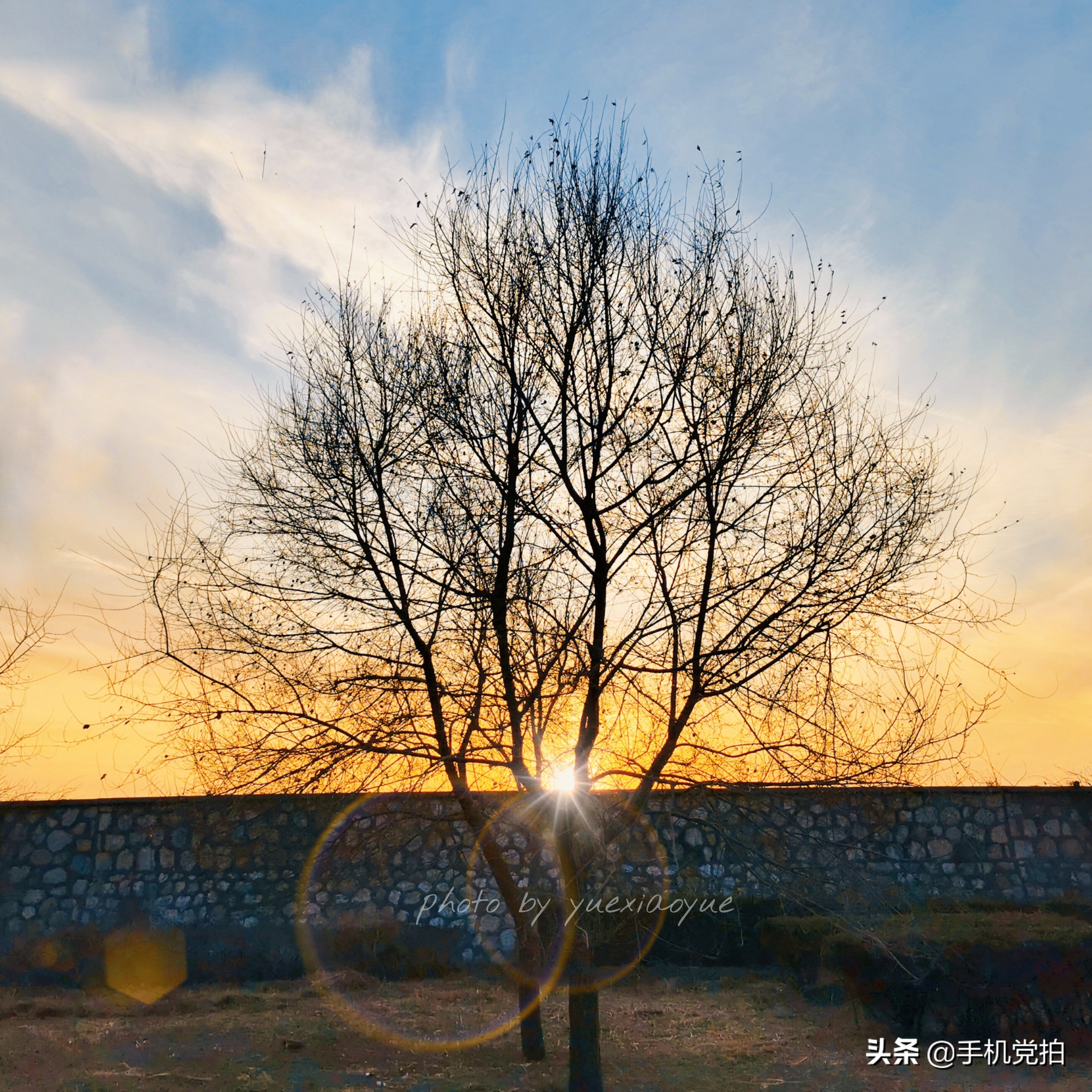 手机拍美景怎么拍,手机拍照片怎么拍风景好看