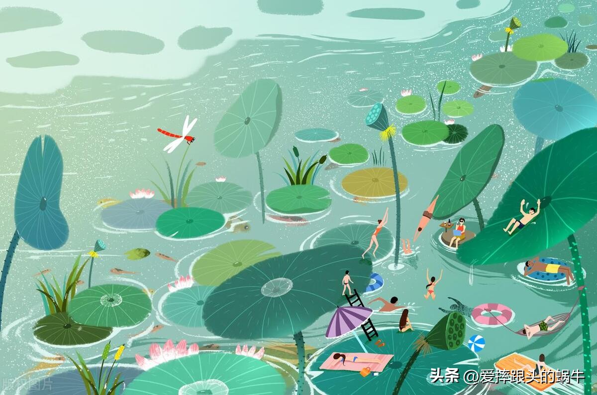 夏至又逢端午节,夏至端午节同一天