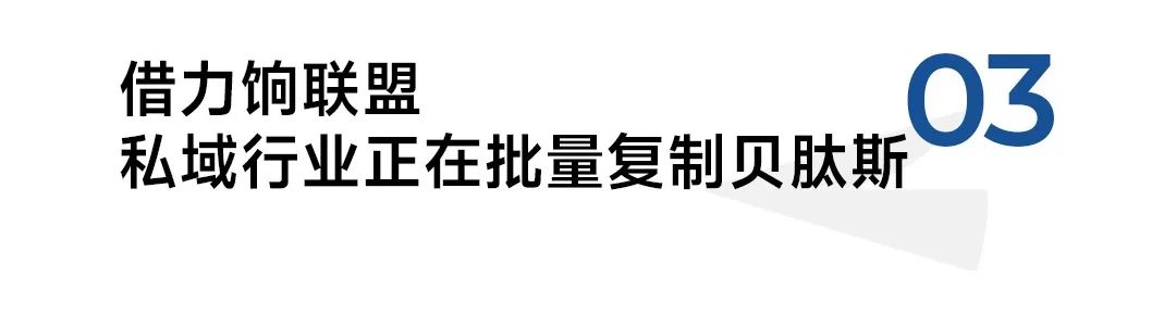 从规模到存量,如何做好品牌私域流量