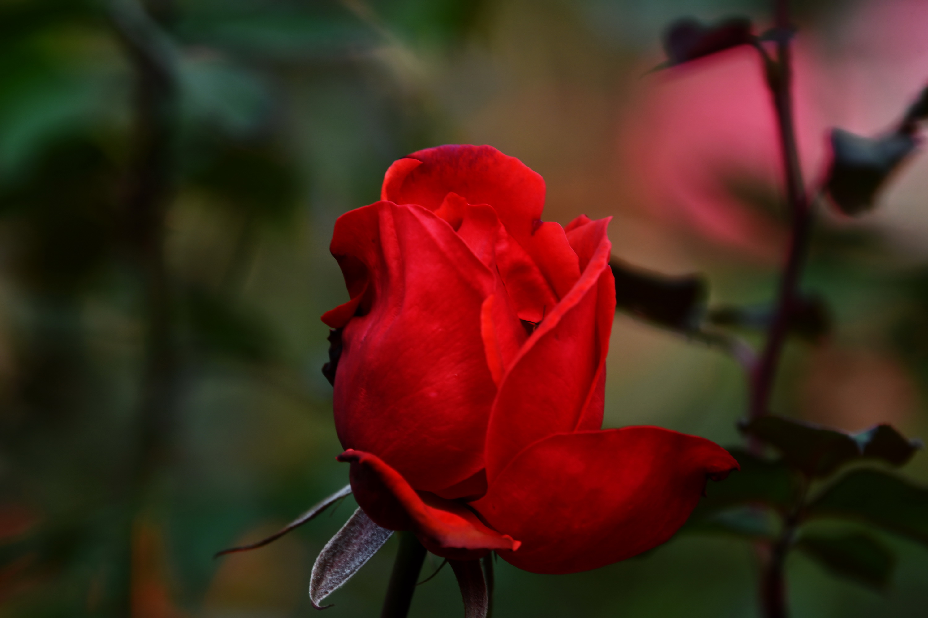 广州市番禺区宝墨园攻略,广州宝墨园景观