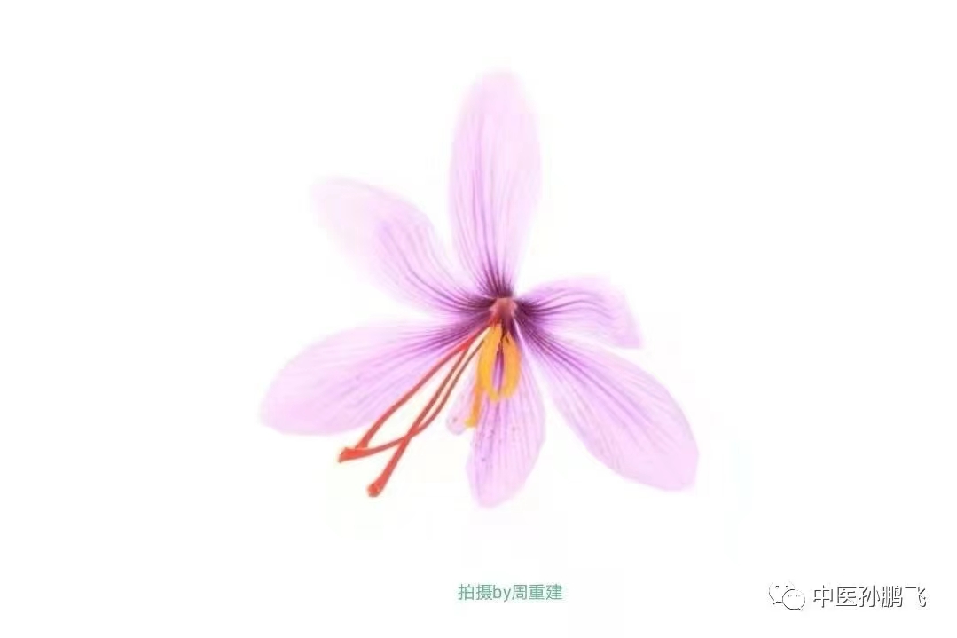 金匮要略学习笔记——14.10～14.12