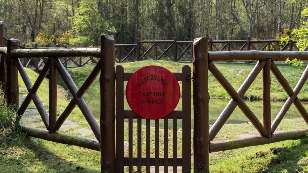 格兰杰单一麦芽威士忌多少钱一瓶,格兰杰10高地单一麦芽威士忌