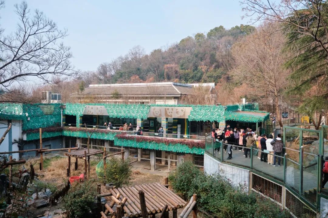 红山动物园亏损3千万网友很着急,近两年疫情原因导致亏损如何翻身