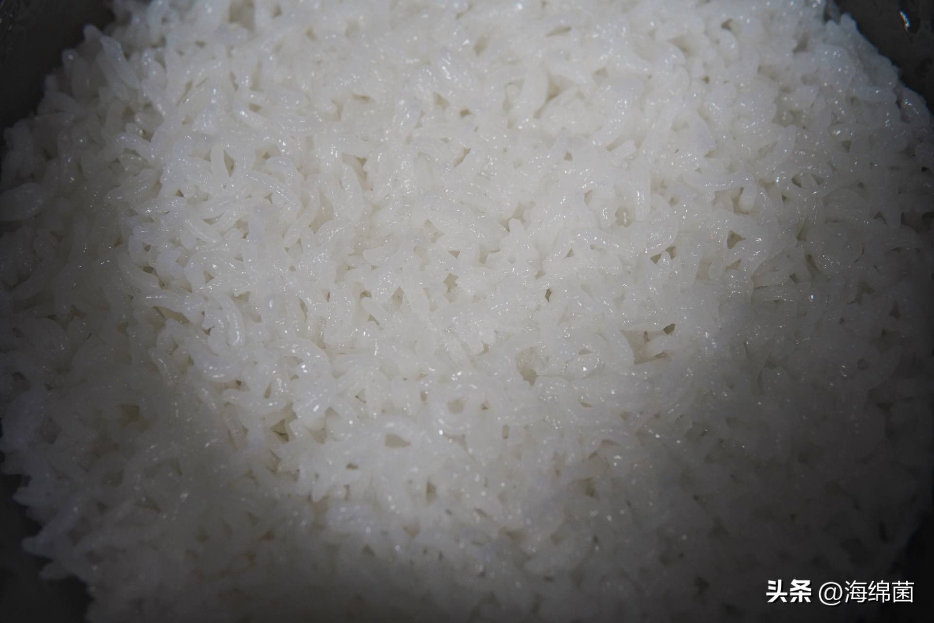 “灵魂米饭”离不开好电饭煲，厨房升级东芝电饭煲有感