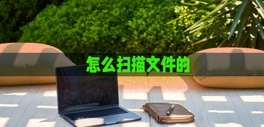 什么扫描软件可以扫描成电子版,扫描全能王怎么扫描文件成电子版