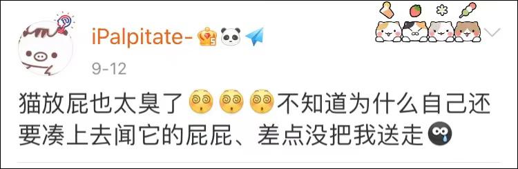 表面上可爱其实背地里也沙雕,表面萌萌哒