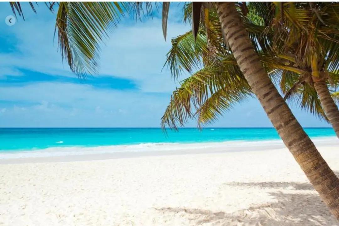 白手起家的亿万富翁小故事,富翁白手起家的故事