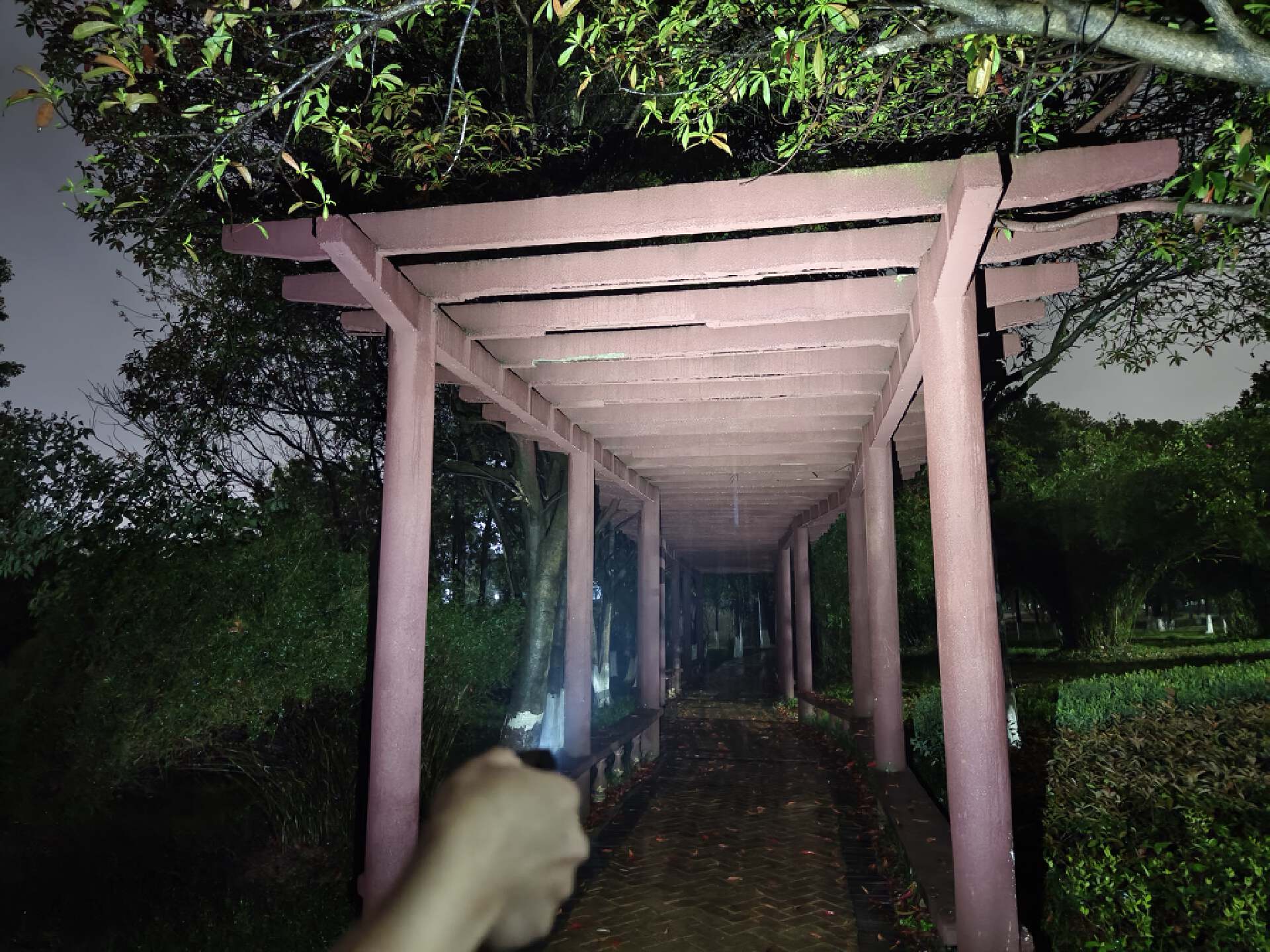 傲雷最好的手电是哪一款,傲雷最值得购买的手电筒