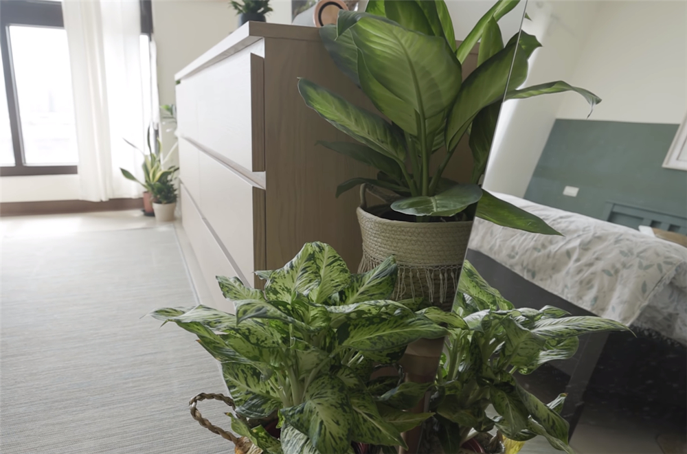 小两口用3天时间，将13㎡杂乱卧室变成森系风，网友：心服口服