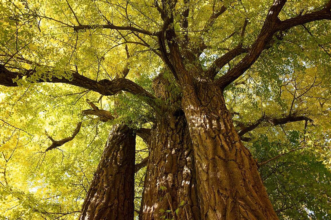 门头沟在北京是怎样的存在,北京门头沟原来是怎么样一个地方