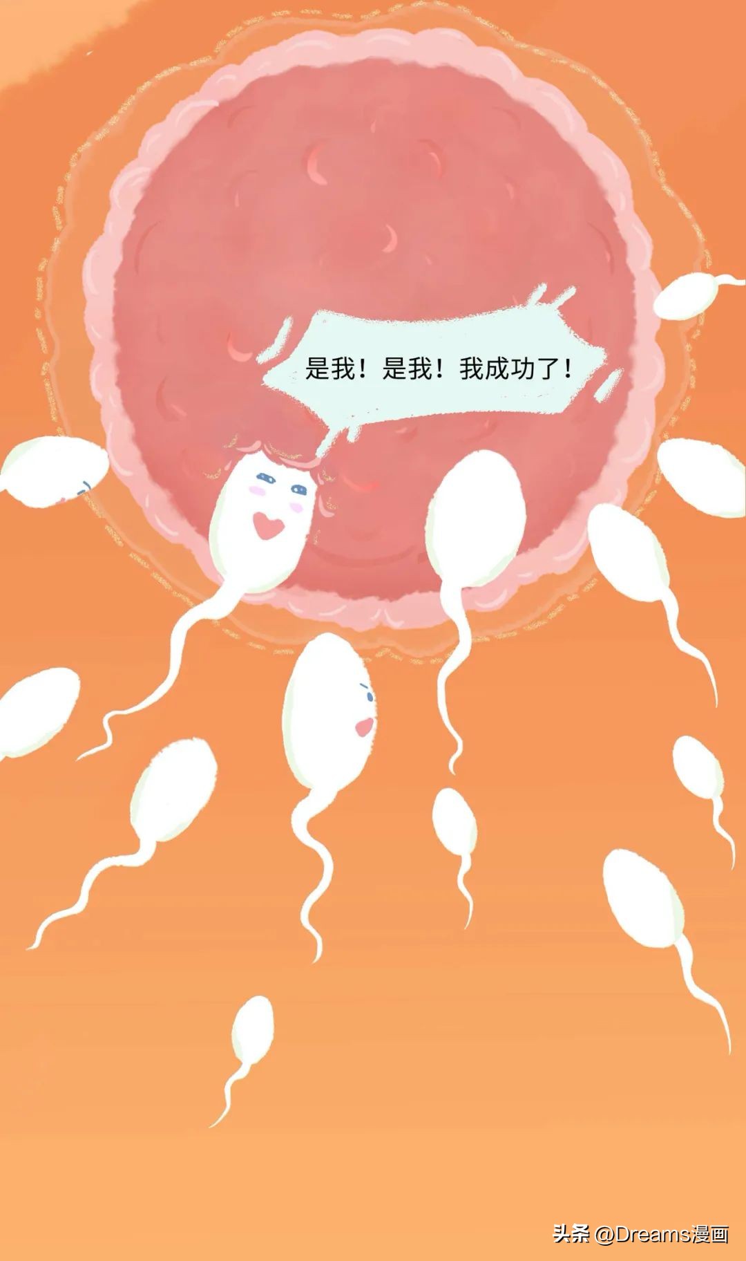 精子进入女生体内的全过程