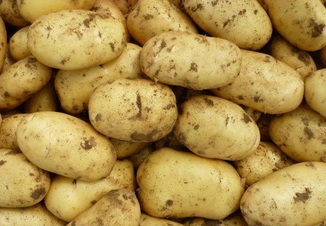 哪里产的土豆最好吃,全国哪的土豆最好
