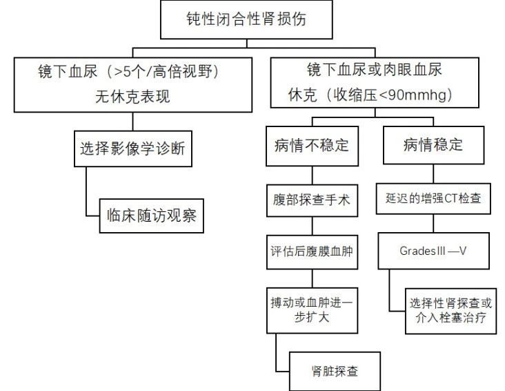 钝性闭合性肾损伤的诊治策略