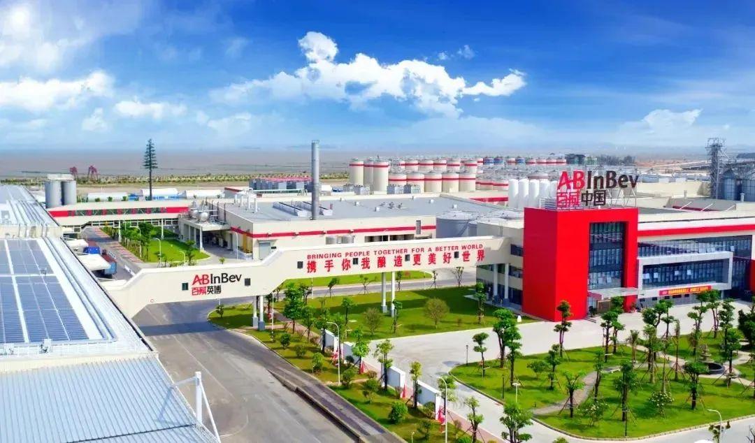 华润啤酒青岛啤酒,华润啤酒和青岛啤酒哪个好