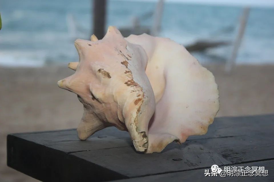 所有的经历都是价值,经历都是有价值的